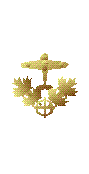 Medalha de Ouro