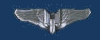 Broche Bombardeiro