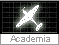 Academia